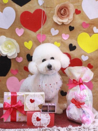 20230226ププくん